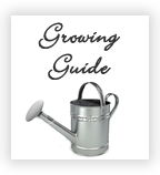 Growing Guide